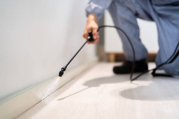 Licensed Pest Control service in Ivyland, PA - Show Me Pest Control