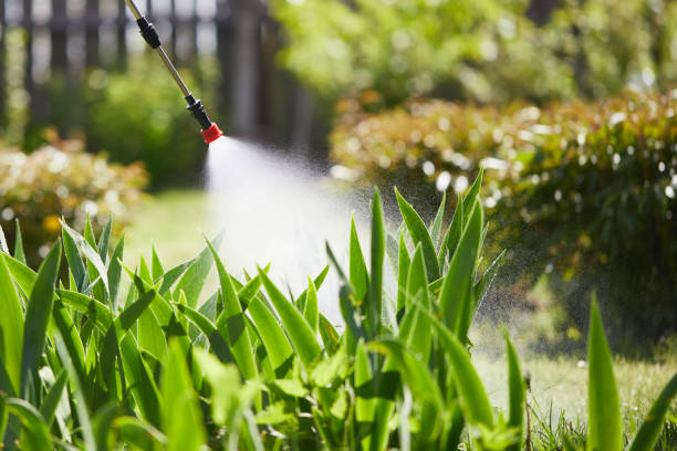 24/7 Emergency Mosquito Control experts in Ivyland, PA