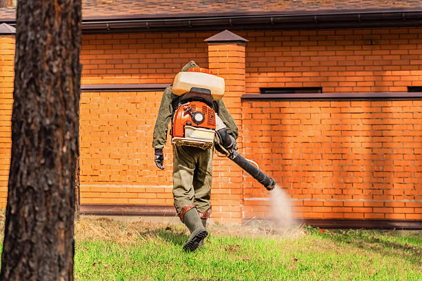 Top rated local Mosquito Control specialists in Ivyland, PA